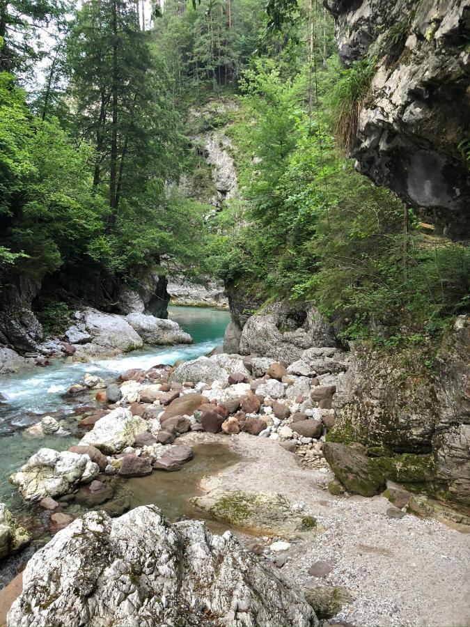 Greenwood Holiday Tarvisio Eksteriør billede