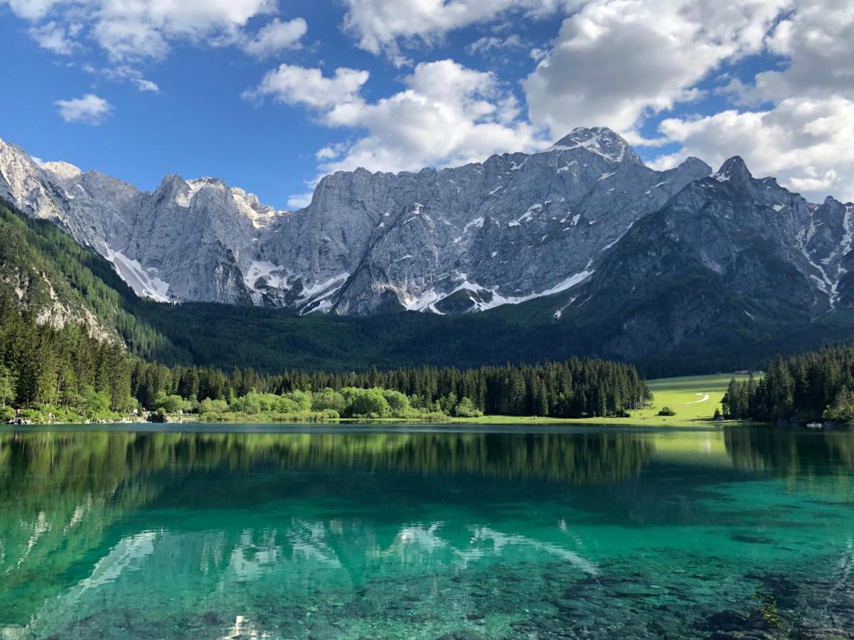 Greenwood Holiday Tarvisio Eksteriør billede